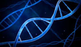 分子实验