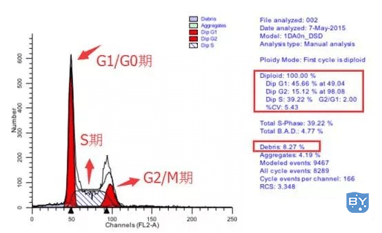 乳腺癌细胞系MCF-7细胞周期分布图