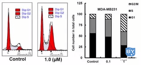 药物处理MDA-MB231细胞后的周期分布图[2]