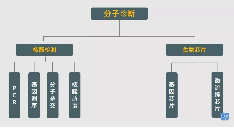 分子诊断技术大家族