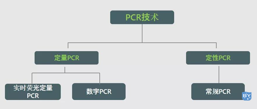 PCR技术大致分类