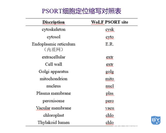 蛋白质分子分析软件