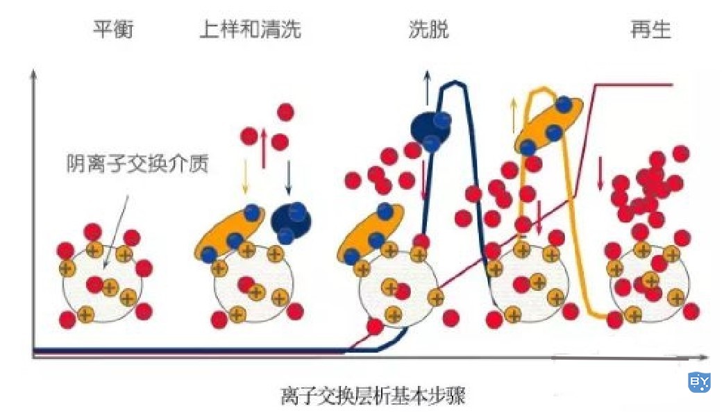 离子交换层析实验步骤