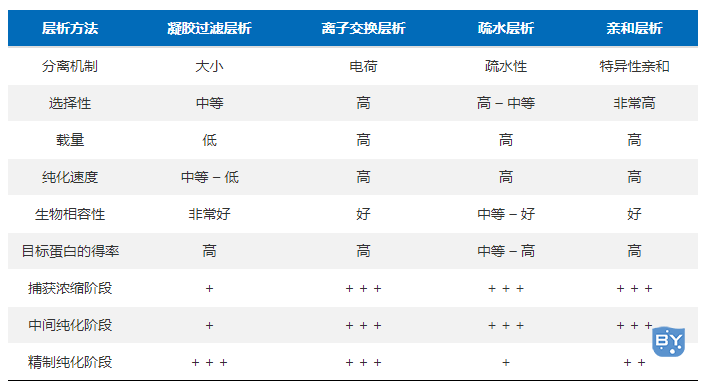 蛋白层析方法