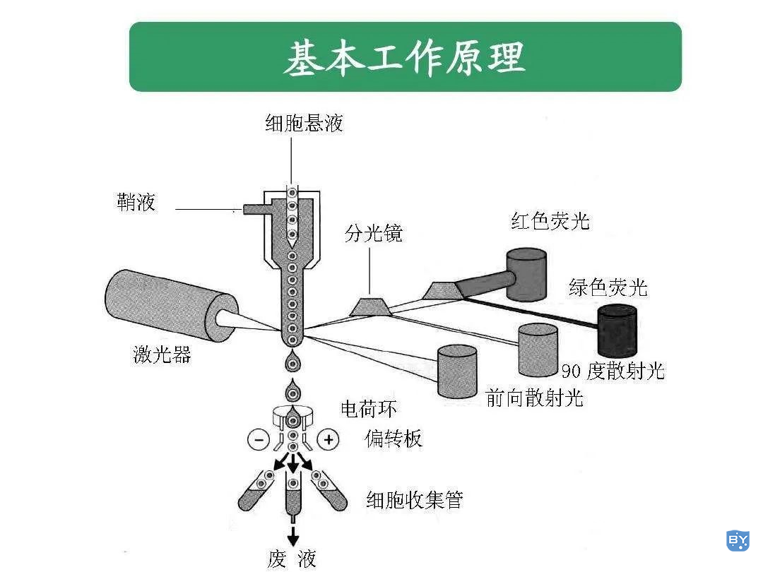 工作原理图