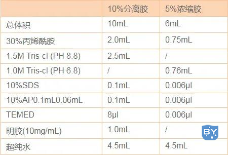 SDS-PAGE 凝胶配制