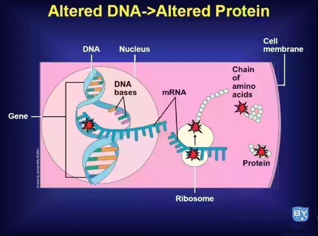 分子实验