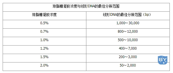 琼脂糖凝胶浓度与线形DNA的最佳分辨范围