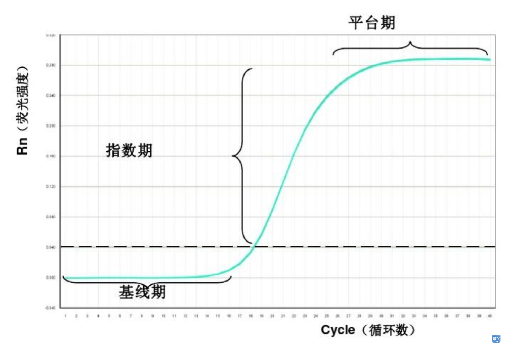 qPCR扩增曲线