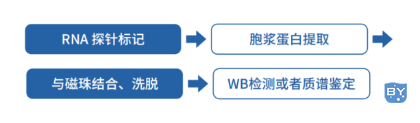 技术流程