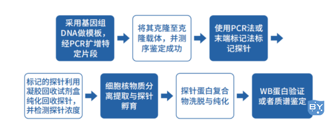 技术流程