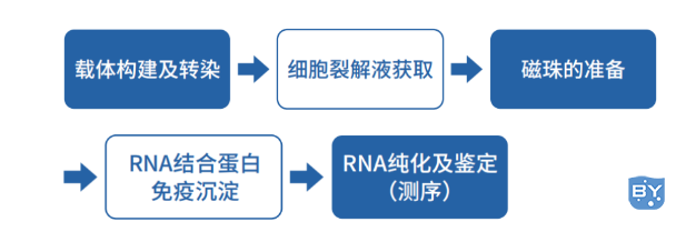 技术流程