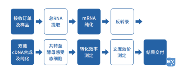 技术流程