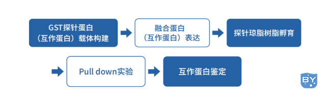 技术流程