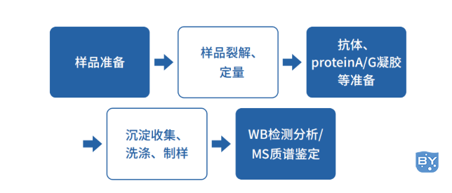 技术流程