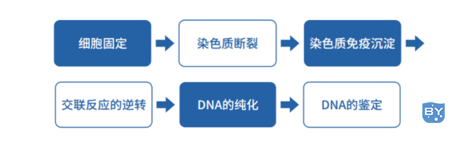 技术流程