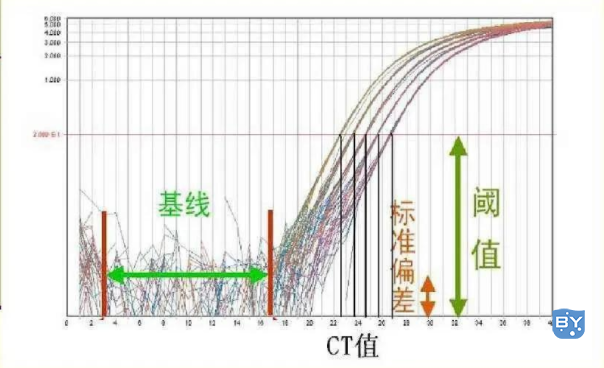 PCR的扩增体系