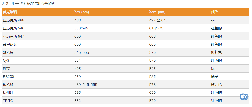 表 2：用于 IF 标记的常用荧光染料