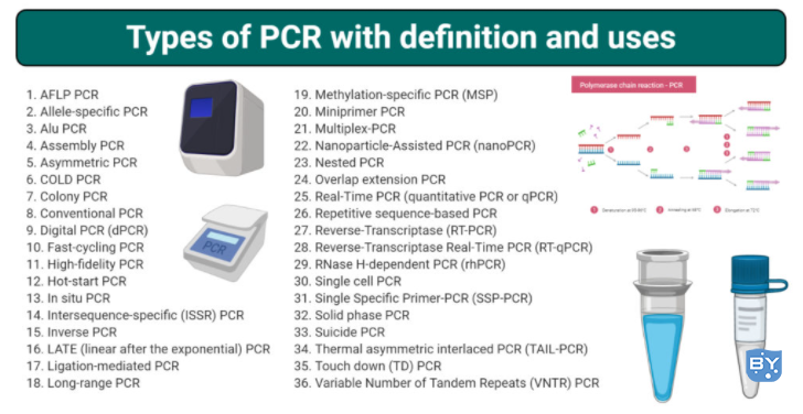 pcr类型列表