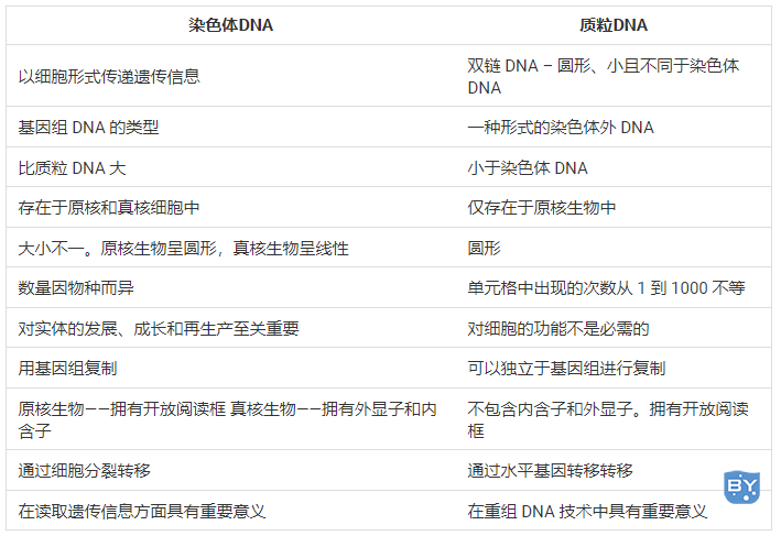 染色体 DNA 和质粒 DNA 之间的主要区别