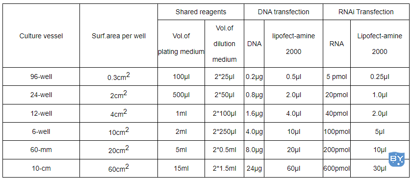 各种培养皿添加的质粒和脂质体参考量