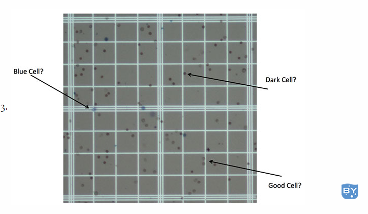数细胞