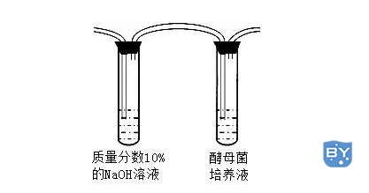 改进后主体装置