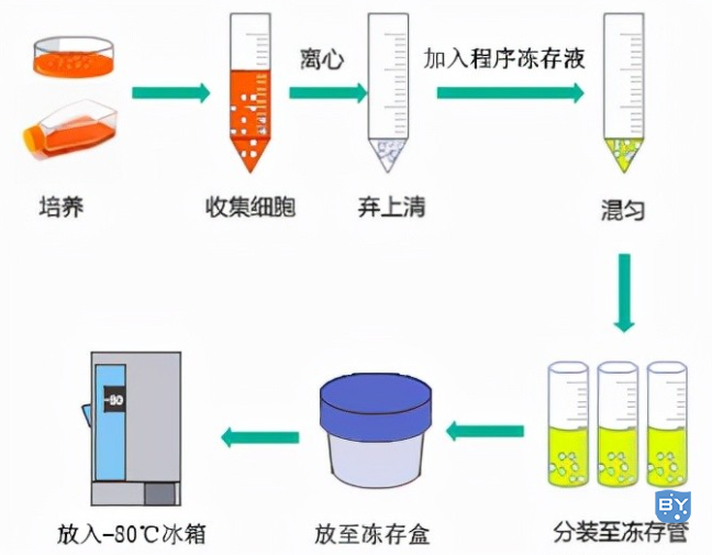 使用冻存盒操作示意图