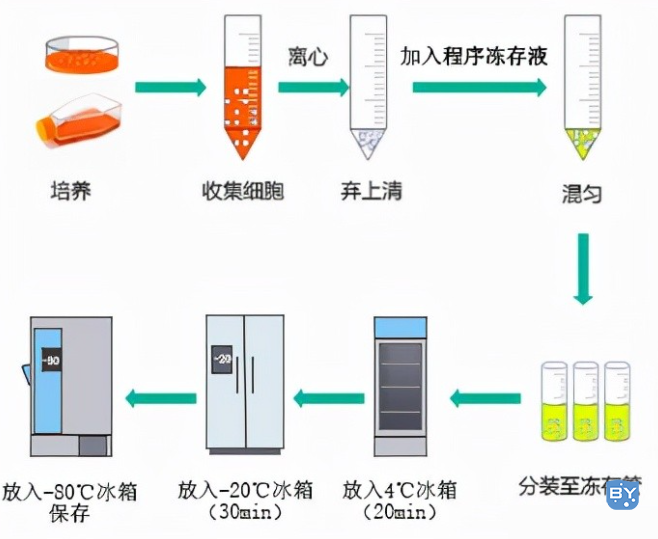 手动梯度降温操作示意图