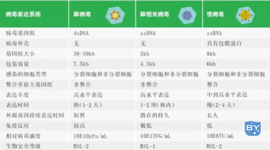 病毒载体选择小技巧