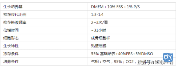 K7M2-WT细胞基础信息