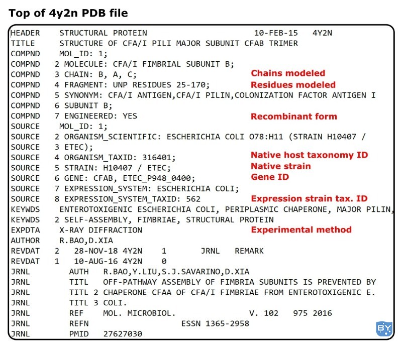 图 1。用于条目的 PDB 文件的注释屏幕截图：4y2n。