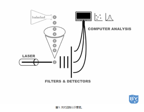 图 1. 流式细胞仪示意图。 