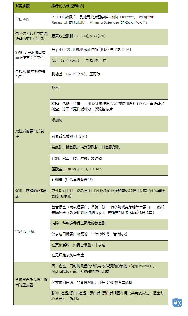 表 1。成功进行蛋白质复性的步骤