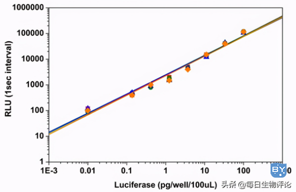 Amplite™荧光素酶报告基因检测试剂盒