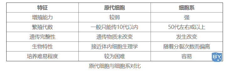 原代细胞与细胞系对比