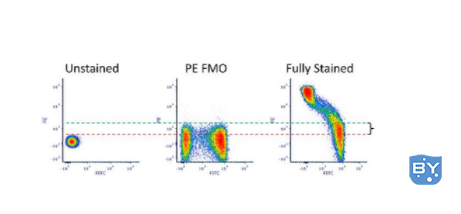 图 3：使用 FMO 设置正门。