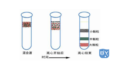 膜蛋白提取