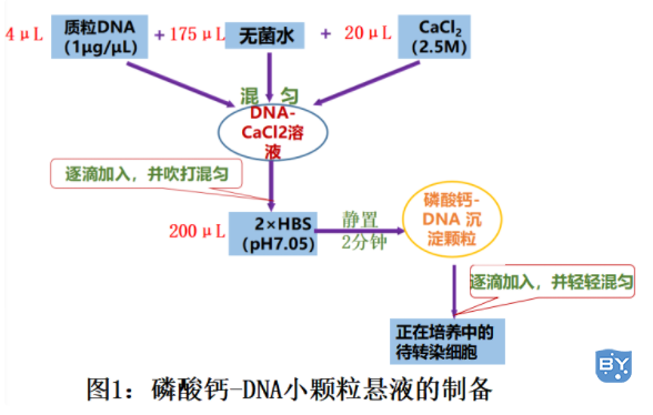 图例