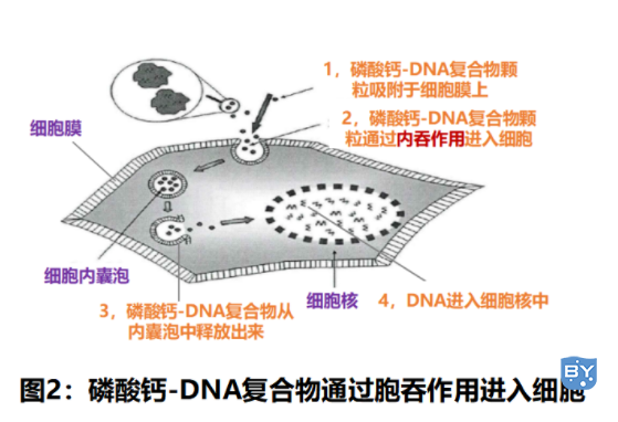 图例