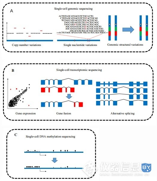图1 单细胞测序技术应用范围示意图
