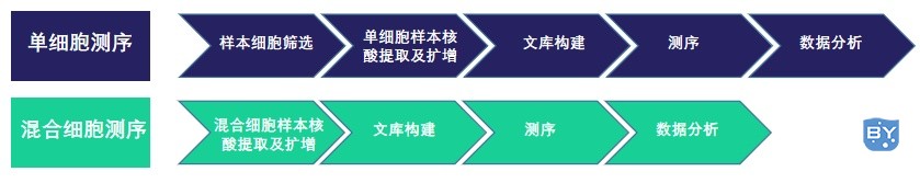 图4 单细胞测序（上）与传统混合细胞测序（下）技术流程对比示意图