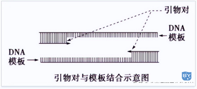 图例