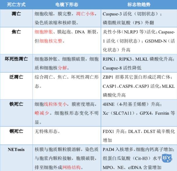 细胞死亡检测方法