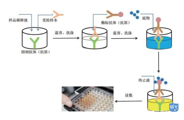 阅读