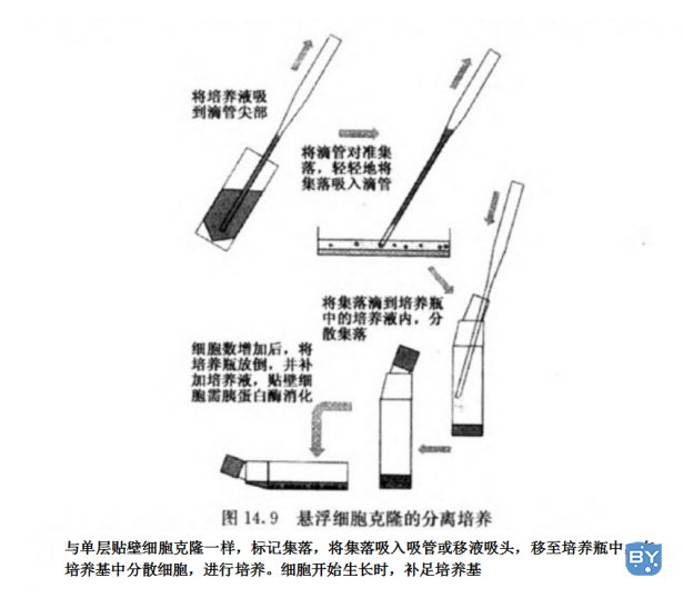 图例