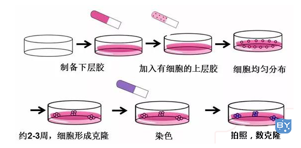 操作步骤