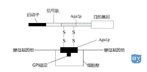 图例